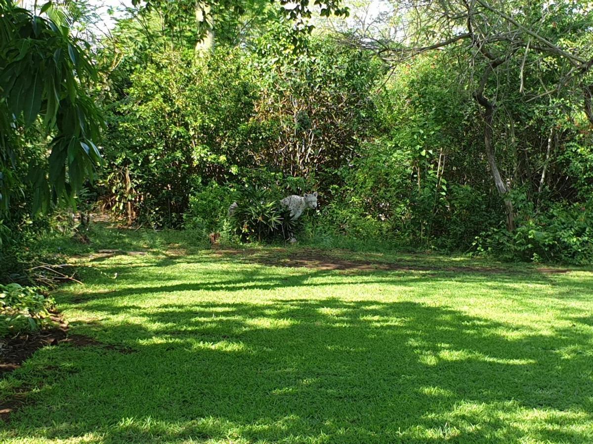Kruger Allo B&B Komatipoort Exteriör bild